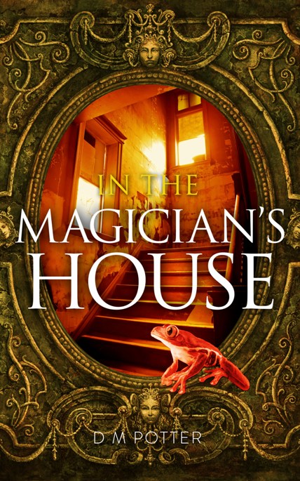 In the Magician's House cover
